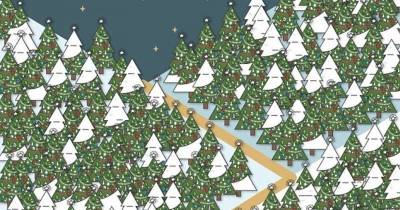 Can You Find The Elf Hiding In The Christmas Trees? Most People Can&rsquo;t.
