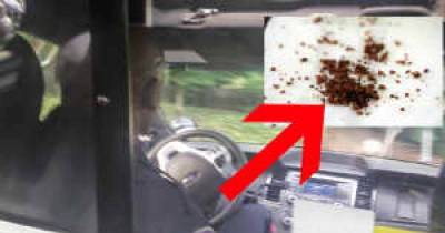Man Arrested With Millions Of Donut Crumbs In His Car. Cops Thought It Was Actually Meth