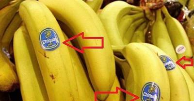 Have You Ever Noticed The Stickers On Fruits, This Is What They Mean!