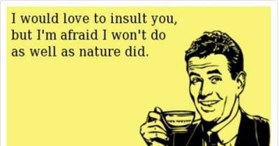 The 11 Funniest Burns In The History Of Human Insults.