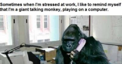 8 Things That Only The Smartest People Never Think About While Working