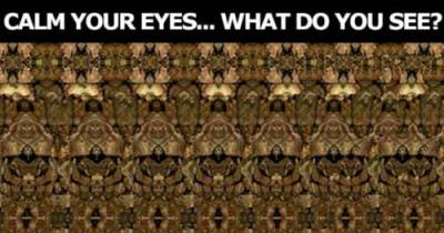Only People With The Magic Eye Can See These Impossible Hidden Images