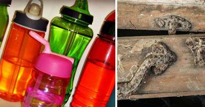 Deadly Substances You May Not Realize Are Hiding In Your Home