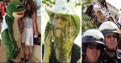 Crazy Images To Pique Your Interest