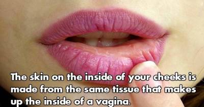 Facts That Will Make You Say WTF