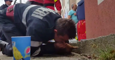 Hero Firefighter Saves Dog By Perfoming CPR