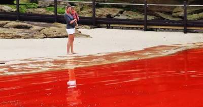 These 13 Mysteries Of Nature Prove That Earth Isn&rsquo;t Done Surprising Us...