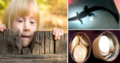 10 Most Shocking Things Found In Backyards