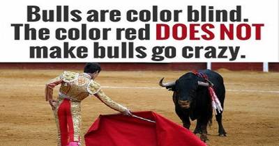 15 Facts That People Believe To Be True