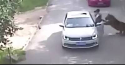The 10 Most Shocking Moments In The World