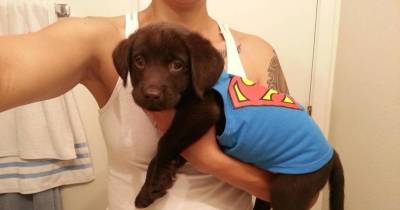 Puppy Was About To Be Put Down, But The Vet Nurse Wasn't Having It.