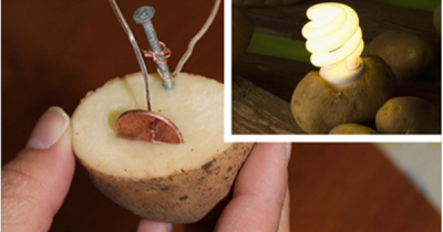 Use A Potato To Keep Your Room Lit For Over A Month