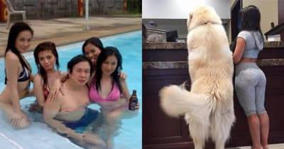 Funny Pics To Make You Laugh Your Arse Off