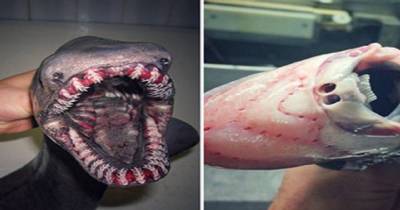 This Fisherman&rsquo;s Twitter Account Is Filled With the TERRIFYING Things He&rsquo;s Caught