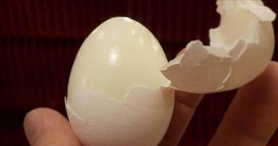 You May Lose Weight In Just 15 Days With This Egg Diet