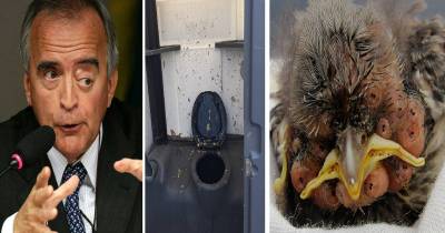 Absolutely WTF Pictures That Will Leave You Shocked