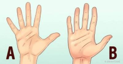 Scientists Reveal How To Tell A Person&rsquo;s Character By The Shape Of Their Hands