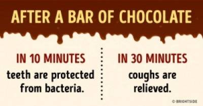 What Happens To Our Body After A Piece Of Chocolate