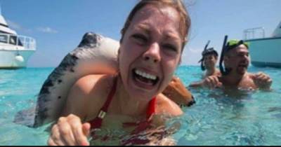 14 Of The Oceans Deadliest Creatures
