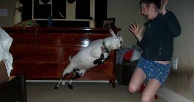 Immensely Weird Pictures That'll Make You Scratch Your Head