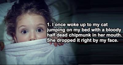 Scarred-For-Life People Share The Most Terrifying Thing They Ever Woke Up To.