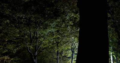 15 Most Chilling Stories Ever From Central Park
