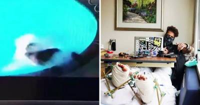 Dude Breaks His Ankles Trying To Jump Off Roof Into Pool