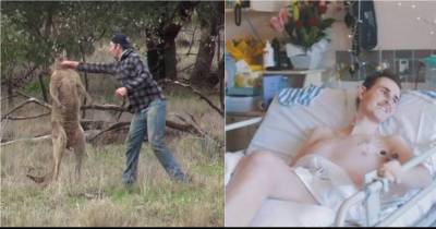 This Is The Heartbreaking Story Behind The Man Who Punched A Kangaroo