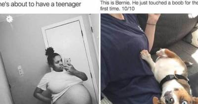 Dank Memes That Will Keep You Laughing