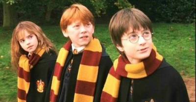 The Real Reason Daniel Radcliffe Was Cast As Harry Potter