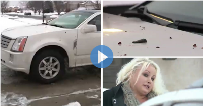 Plane Takes A Dump On Woman&rsquo;s Car