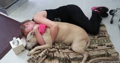 9 Heartbreaking Goodbyes Between Pets And Their Owners
