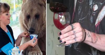 Families With Bizarre Eating Habits