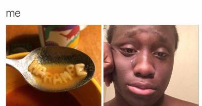 Some Of The Most Popular Memes From 2016