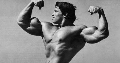 15 Things You Didn&rsquo;t Know About Arnold Schwarzenegger&rsquo;s Life