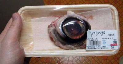 Absolutely WTF Images That Are All The Nopes!