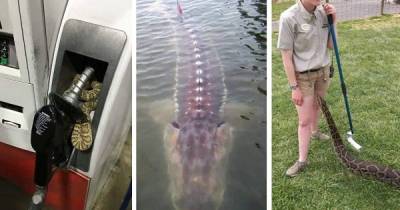 WTF Images That Will Make You Say NOPE!