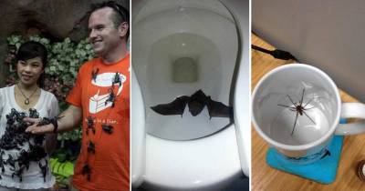 Pictures From The Land Of Nope