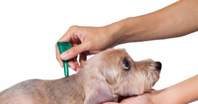 10 Products Linked To Cancer That Are Hiding In Almost Every Home