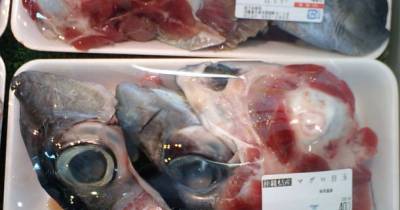 Bizarre Cuisines People Actually Enjoy Eating