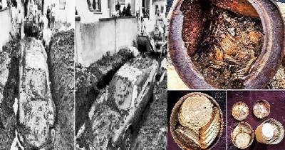 10 Totally Unexpected Finds People Discovered In Their Backyards