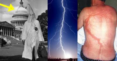 15 Strange Facts That Sound Like BS, But Are Totally True