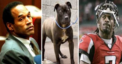 NFL Players Who Did Truly Awful Things