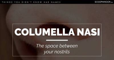 Things You See Every Day But Didn&rsquo;t Know Had Names