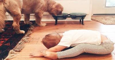 15 Reasons Why Your Kids Thinks You're An A$$hole Parent