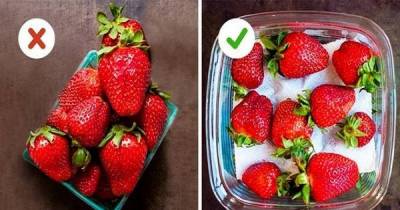 18 Ingenious Tricks To Help Keep Fruits And Vegetables Fresh