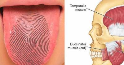 How Much Do You Know About Your Body? This Quick Read Will Blow Your Mind