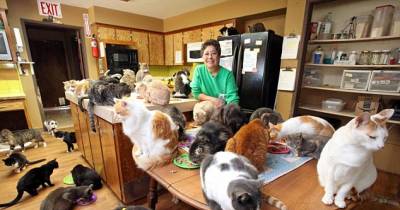 She Lives With Over One Thousand Cats