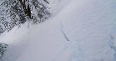 If You Ever See This Happening While You're Skiing Or Snowboarding, Leave ASAP