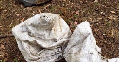 She Found A Dirty Sack In A Field, What Was Inside Changed The Course Of Her Life.